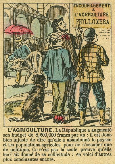 Maatalous havainnollistaa kolmannen tasavallan hyötyjä maatalousinvestoinneille ja sen huolenpitoa talonpoikaisväestöstä. Kaiverrus, "" Le Figaro, liite"", 30/03/1889, Pariisi. Coll. Selva. tekijältä French School