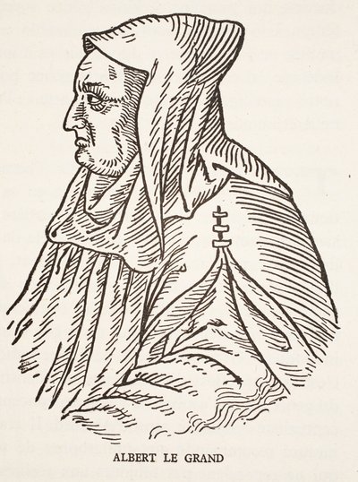 Albert Suuri tekijältä French School