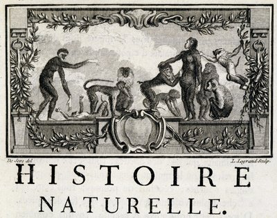Luonnonhistorian allegooria apinoista - Buffonin "" Luonnonhistoriassa, yleisessä ja erityisessä historiassa"". tekijältä French School