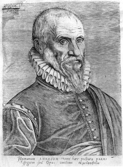 Ambroise Paré (1509-1590). tekijältä French School
