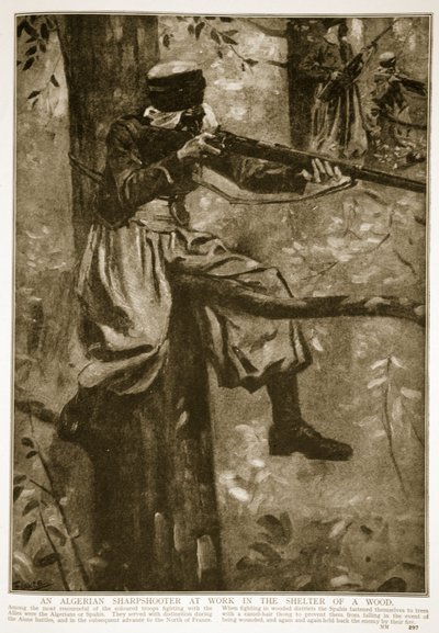 Algerialainen ampuja töissä metsän suojissa, 1914-19 tekijältä French School