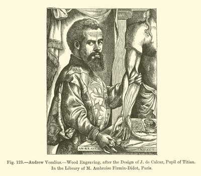 Andrew Vesalius (kaiverrus) tekijältä French School