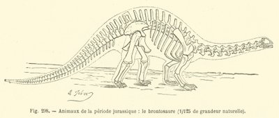 Jurassic-kauden eläimet, Brontosaurus (kaiverrus) tekijältä French School