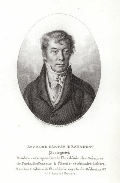 Anselme Gaetan Desmarest tekijältä French School