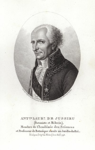 Antoine Laurent de Jussieu tekijältä French School