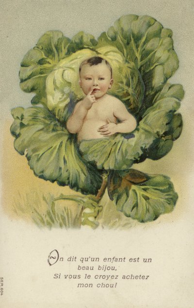 Vauva kaalissa (chromolitho) tekijältä French School