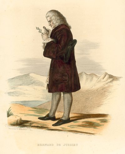 Bernard de Jussieu (värillinen kaiverrus) tekijältä French School