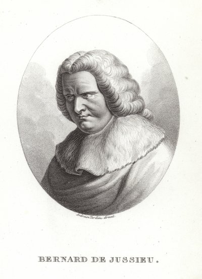 Bernard Jussieulainen tekijältä French School