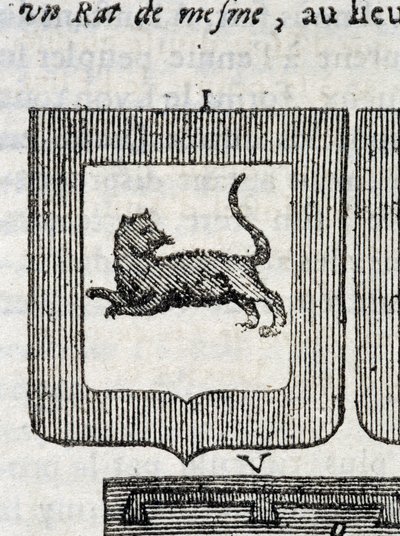 Italian jalkaväkirykmentin Blazon teoksessa "" La Vraye and Perfect Science of Arms or the Armorial Index", kirjoittanut Pierre Palliot tekijältä French School