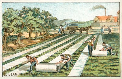 Valkaisu (chromolitho) tekijältä French School