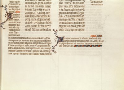 Sivun alareuna ilman miniatyyriä, Jean de Syn Raamatusta, n. 1355 tekijältä French School