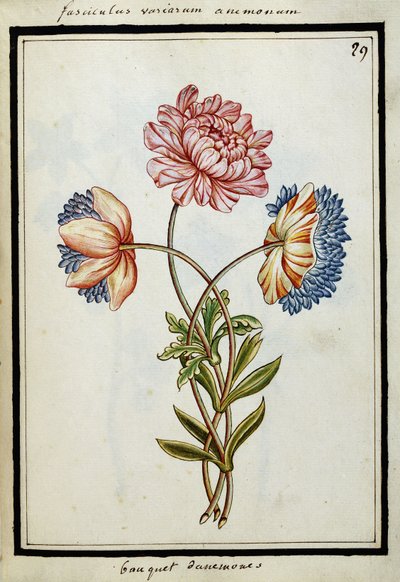 Anemone-kimppu, n. 1700 tekijältä French School