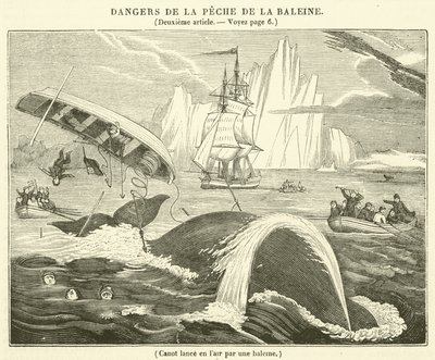 Valaan ilmaan laskema kanootti (kaiverrus) tekijältä French School