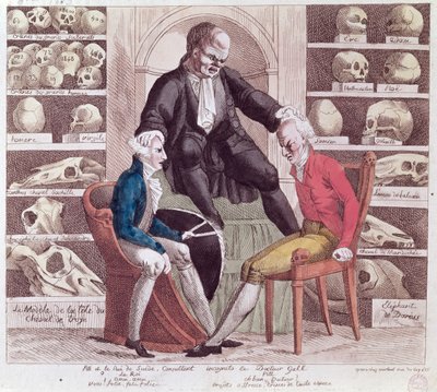 Karikatyyri William Pitt nuoremmasta (1759-1806) ja Gustav IV Adolfista (1778-1837) vierailemassa Sr. Franz Joseph Gallissa (1758-1828) 1806 tekijältä French School