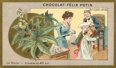 Risiiniöljy - neiti Lilin herkku (chromolitho) tekijältä French School