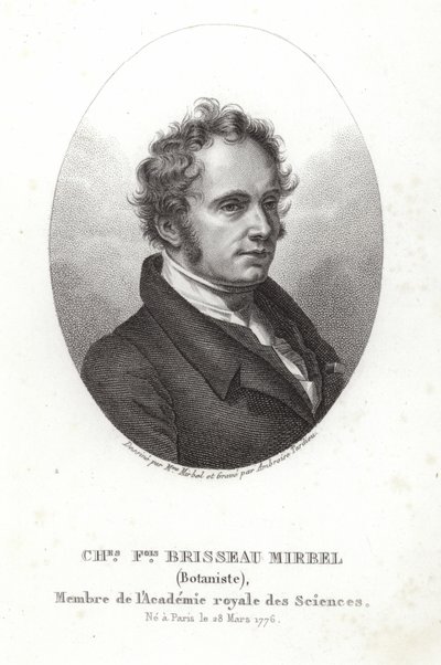 Charles-Francois Brisseau de Mirbel tekijältä French School