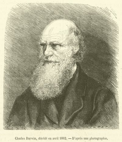 Charles Darwin, decede en avril 1882 (kaiverrus) tekijältä French School