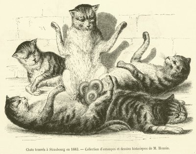 Kissat löydetty Strasbourgista vuonna 1683 (kaiverrus) tekijältä French School