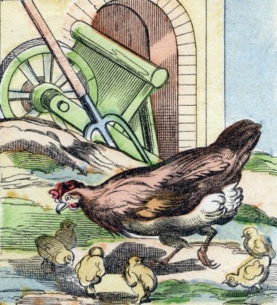Kanaa ja poikasia. Kaiverrus "Buffon Alphabet des Oiseaux n 2". 3. Serie N 2. Epinalin kuvantaminen, Epinal, 1800-luvun loppu. 16 sivua. Mitat: 28 x 21 cm tekijältä French School