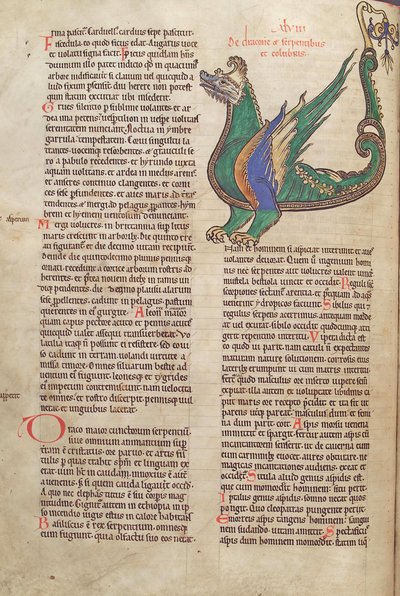 Turska. Guelf. 1 Gud. lat. 40v, teksti lohikäärmekuvalla, Liber Floridus, Lambert de Saint-Omer n. 1120 tekijältä French School