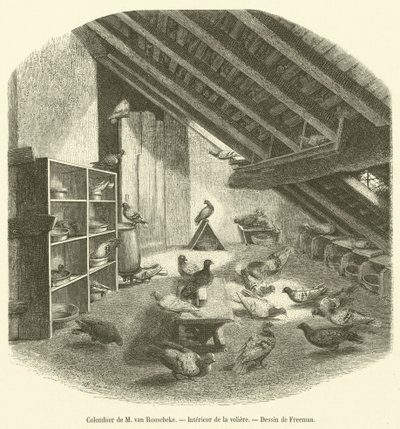 M van Roosebeken kyyhkynen, lintuhuoneen sisustus (kaiverrus) tekijältä French School