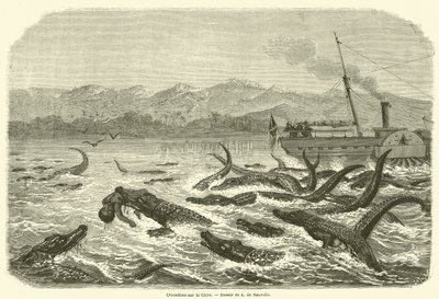 Crocodiles on the Chire (kaiverrus) tekijältä French School
