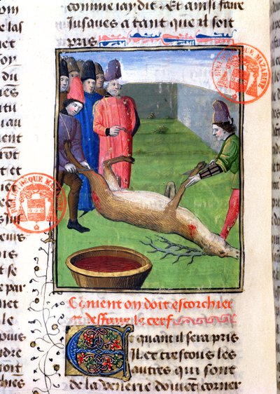 Gaston Phebus de Foixin (1331-91) Livre de la Chassesta peräisin olevan kuolleen poltan jalkojen leikkaaminen tekijältä French School
