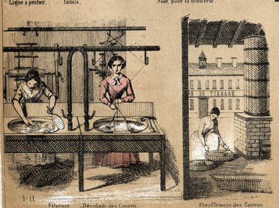 Viljely- ja silkkituotteiden kuvaus: työntekijät, jotka kehrävät silkkiä, poistavat tai tukahduttavat koteloita. Levy "" la soie"" in "" les Recreations instructives"" Jules DELBRUCKin synoptinen maalaus, kaiverrus vuodelta 1860. Yksityinen kokoelma. tekijältä French School