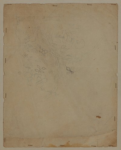 Piirustus, 1700-luvun loppupuoli tekijältä French School