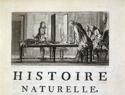 Eläinten dissektio - Buffonin "" Luonnon-, yleis- ja erityishistoriassa"" tekijältä French School