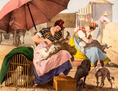 Koiran trimmaajat, 1820 tekijältä French School