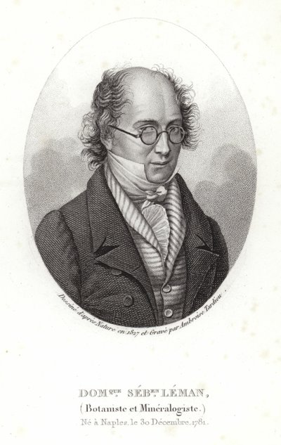 Dominique Sebastion Leman tekijältä French School