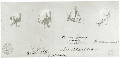Piirustus Notre Damen gargoylien entisöintiä varten, 1855 tekijältä French School