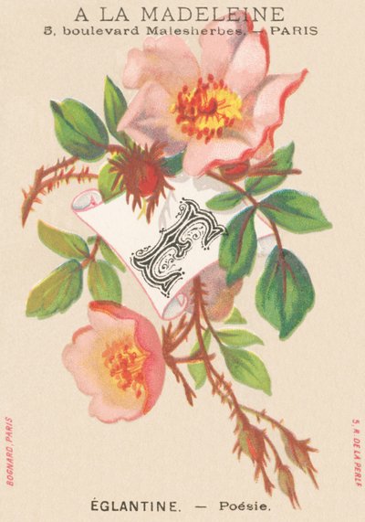 E: Eglantine - Runous tekijältä French School
