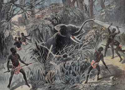 Elefantin metsästys Afrikassa. Elefantti putoaa kuoppaan ennen kuin se on viimeistelty nuolilla. Kaiverrus kirjassa "" Le Pelerin"" 22/01/1899. tekijältä French School