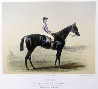 Kuuluisa kilpahevonen - elokuvassa "" The Centaur"" 1866 tekijältä French School