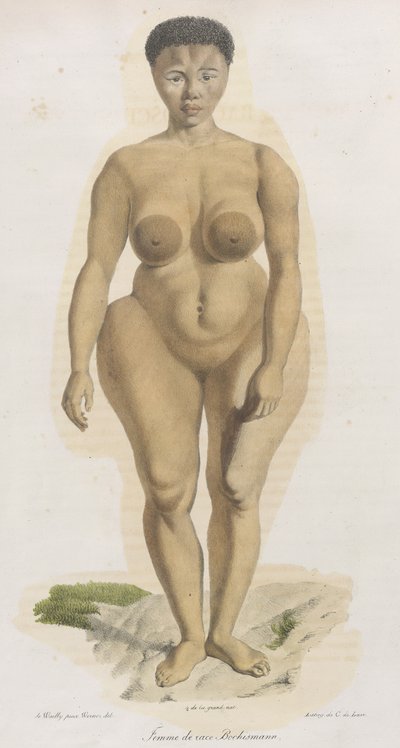 "Femme de race Bochismann". Tämä levy on ilmeisesti kuva Sara (Saartjie) Baartmanista (1789-1815), khoisanista, joka tuotiin Etelä-Afrikasta julkiseen näytteillepanoon Piccadillyssa nimellä "Hottentot Venus" sen takia, mitä d. tekijältä French School