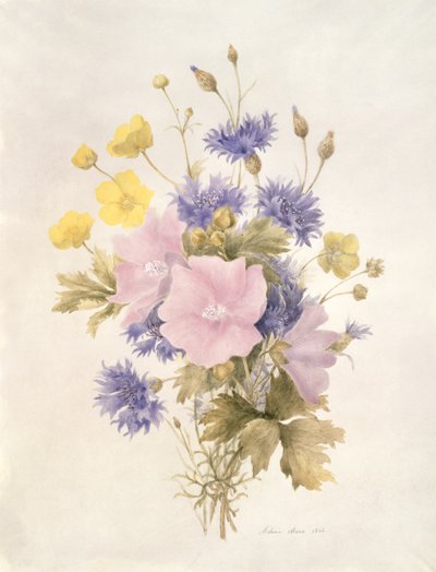Field Flowers, 1842 (wc paperilla) tekijältä French School