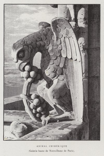 Kimeerisen eläimen hahmo Notre Dame de Parisin ylägalleriasta (litho) tekijältä French School