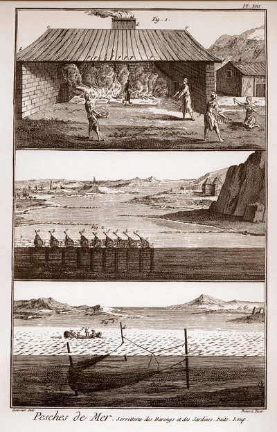 Kalastus, silli ja sardiinit - Peches de Mer - Sorretterie des herring et des sardines - "" La Grande Encyclopédie, ou Dictionnaire Raisonne des Sciences, des Arts et des Metiers"" (Encyclopedia tai Dictionary of the Sciences, Arts and Professions), kirjoi tekijältä French School