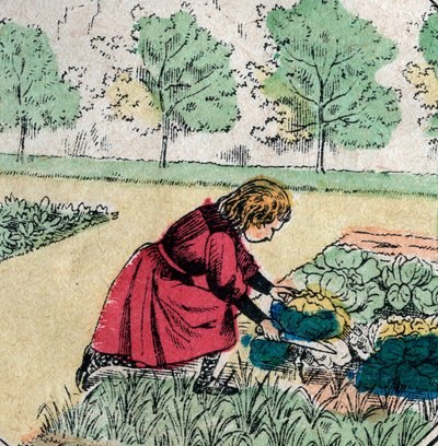 Ranskalainen uskomus: Pieni tyttö, joka uskoo, että vauvat syntyvät kaalissa tai ruusuissa, leikkaa vihannespuutarhan versoja - Epinal kuva - 1800-luku (kaiverrus) tekijältä French School
