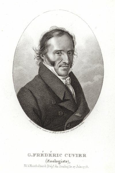 George Cuvier tekijältä French School