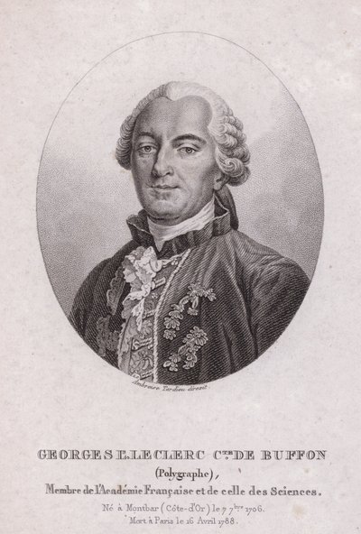 Georges-Louis Leclerc, Comte de Buffon, ranskalainen tiedemies ja kirjailija (kaiverrus) tekijältä French School