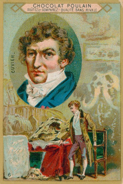George Cuvier tekijältä French School