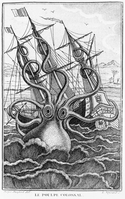 Giant Octopus, kuva Denys-Montfortin nilviäisten yleisestä ja erityisestä luonnonhistoriasta, c. 1802-03 tekijältä French School