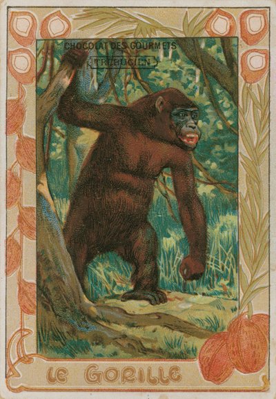 Gorilla tekijältä French School