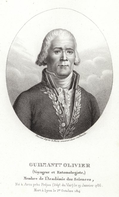 Guillaume Antoine Olivier tekijältä French School