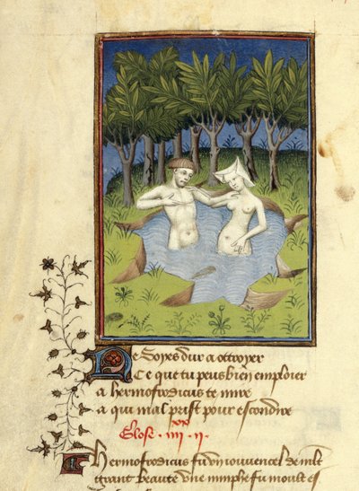 Harley MS 4431, f.132v, Miniatyyri Hermafrodituksesta ja nymfi Salmacisista uimassa järvessä, "L