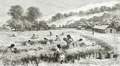 Cocan sato, Peru, kuva Le Tour du Monde -lehdestä, 1877 tekijältä French School