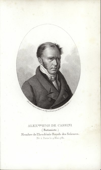 Henry Cassini tekijältä French School